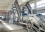 Pulping Line